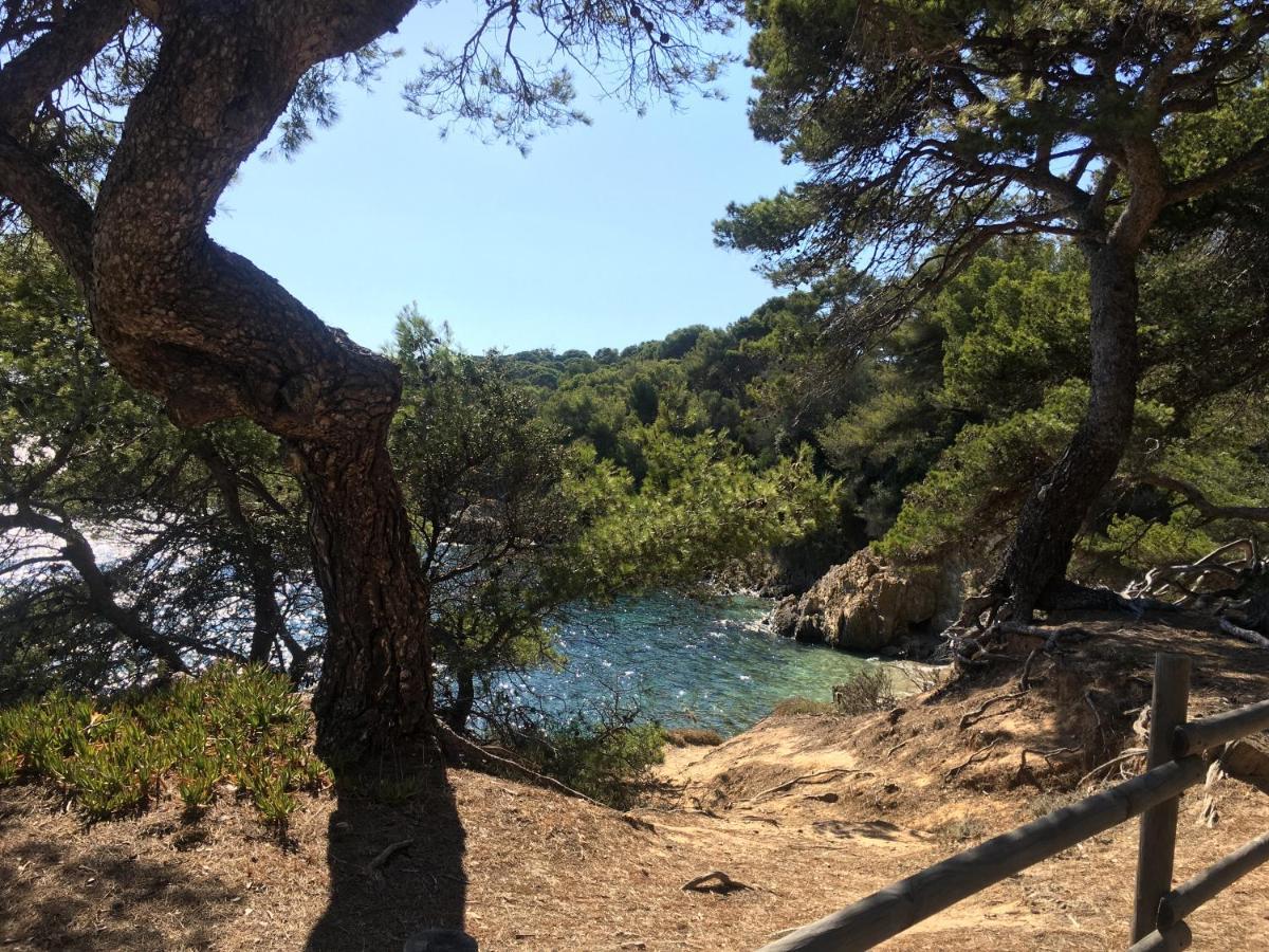 La Provence Authentique A 30 Minutes Des Plages Collobrières Buitenkant foto